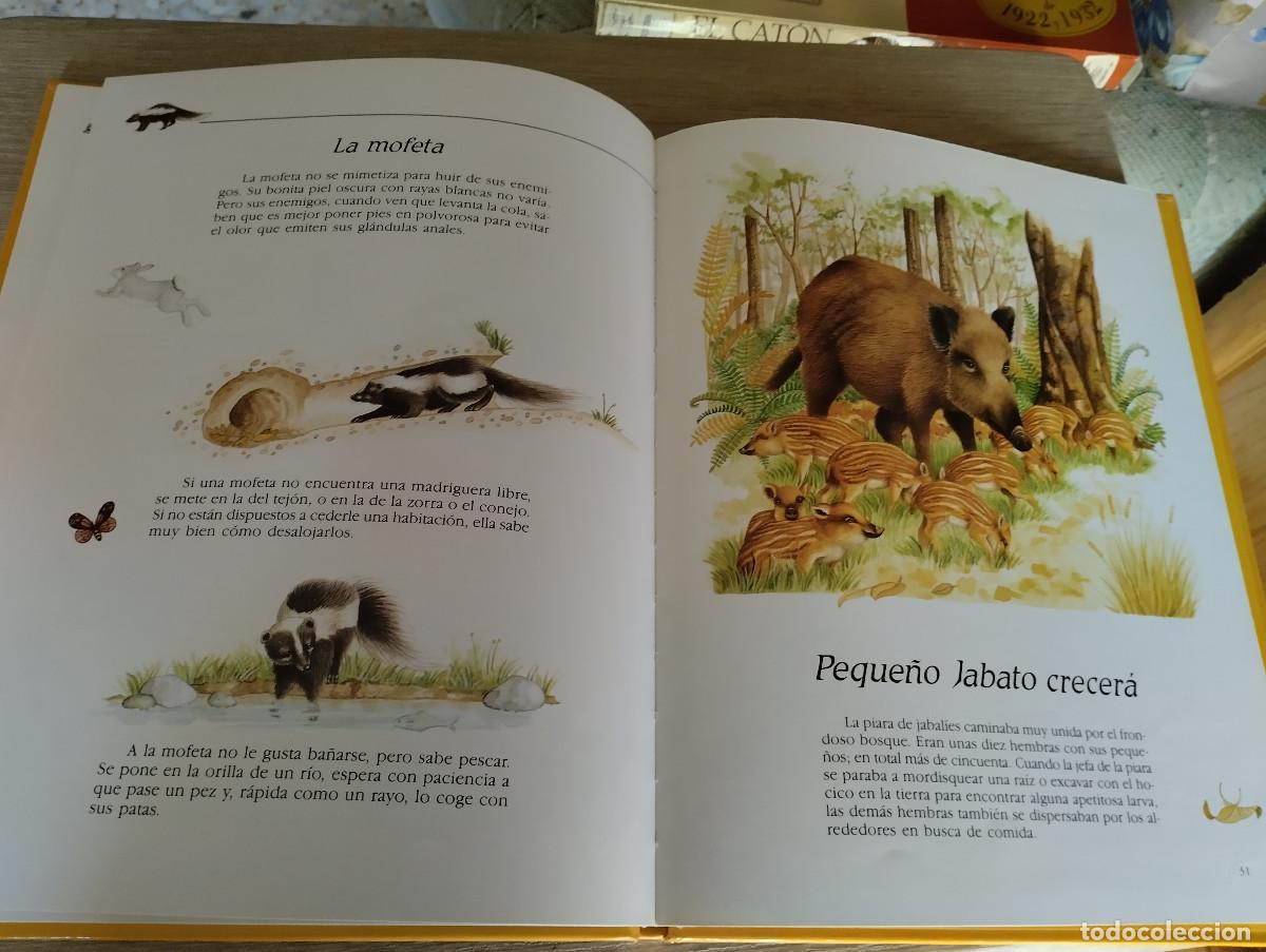Libros de segunda mano: mamas y cachorros del bosque - Foto 2