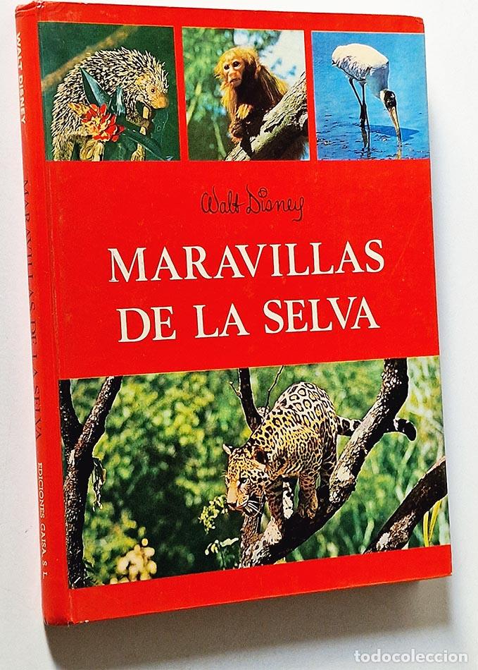 Libros de segunda mano: MARAVILLAS DE LA SELVA - DISNEY, Walt - Foto 1