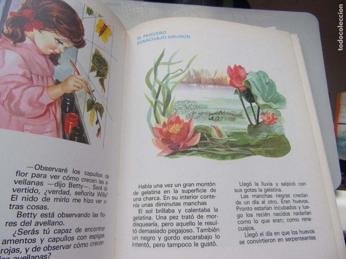 Libros de segunda mano: CUENTOS DE ENID BLYTON -TOMO 2 - Toray editorial 1982 - Foto 5