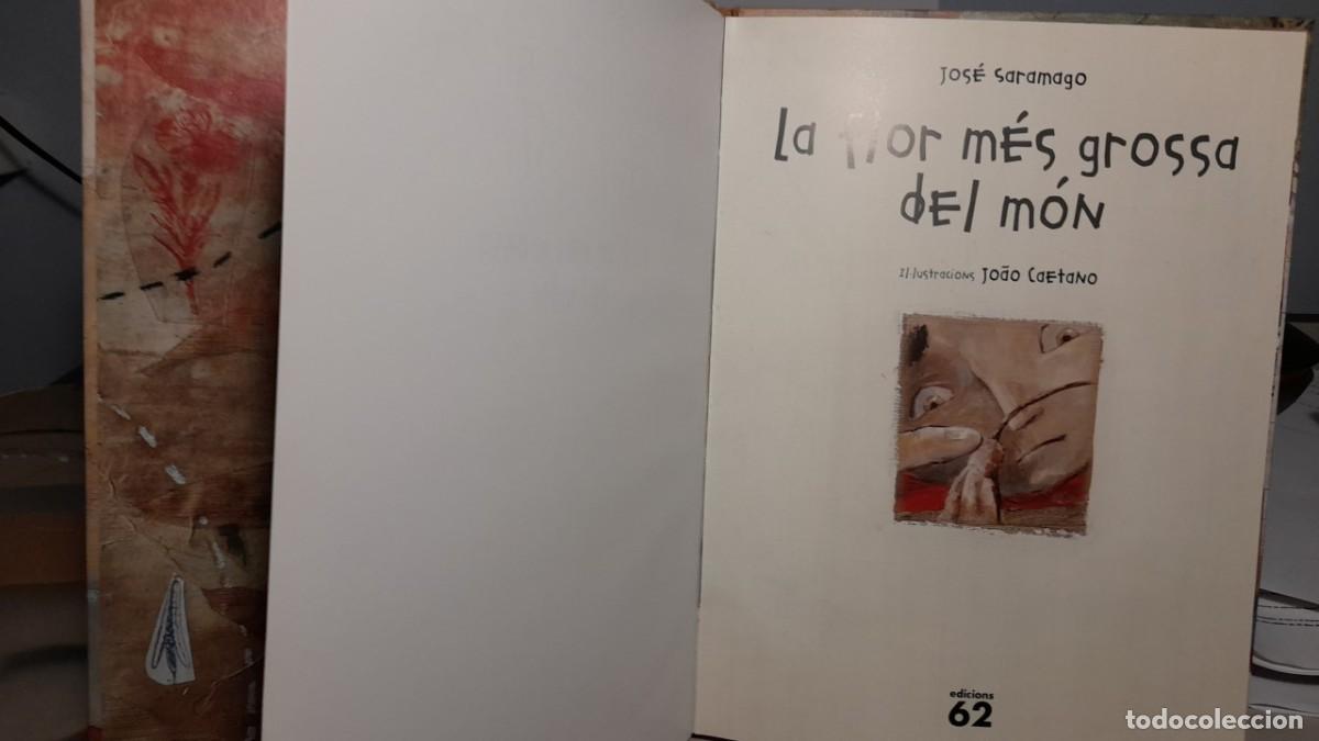 Libros de segunda mano: CONTE DE JOSE SARAMAGO : LA FLOR MES GROSSA DEL MON ( EN CATALAN ) - Foto 2