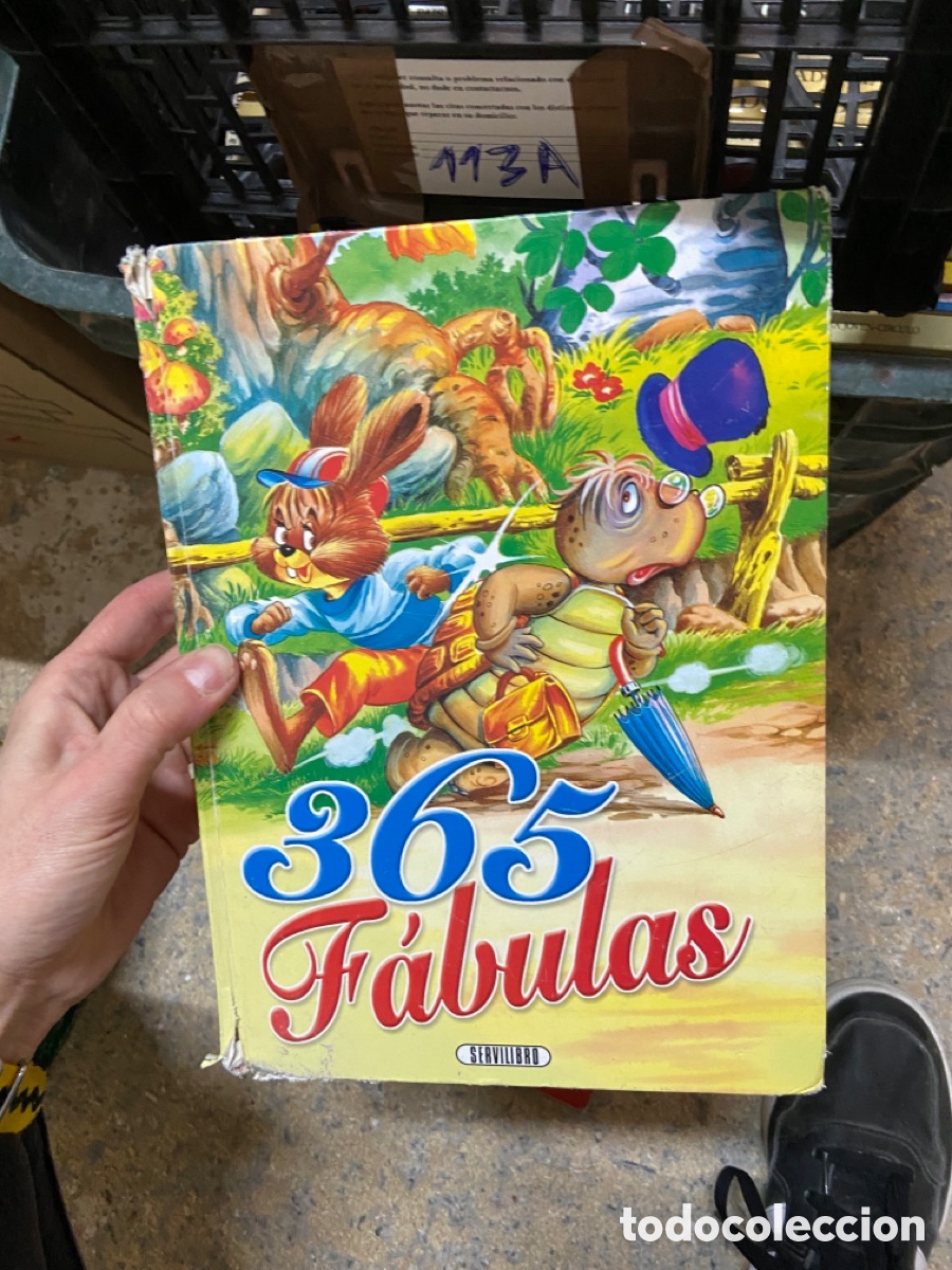 Libri di seconda mano: 113A servilibro - gran formato - 365 fabulas