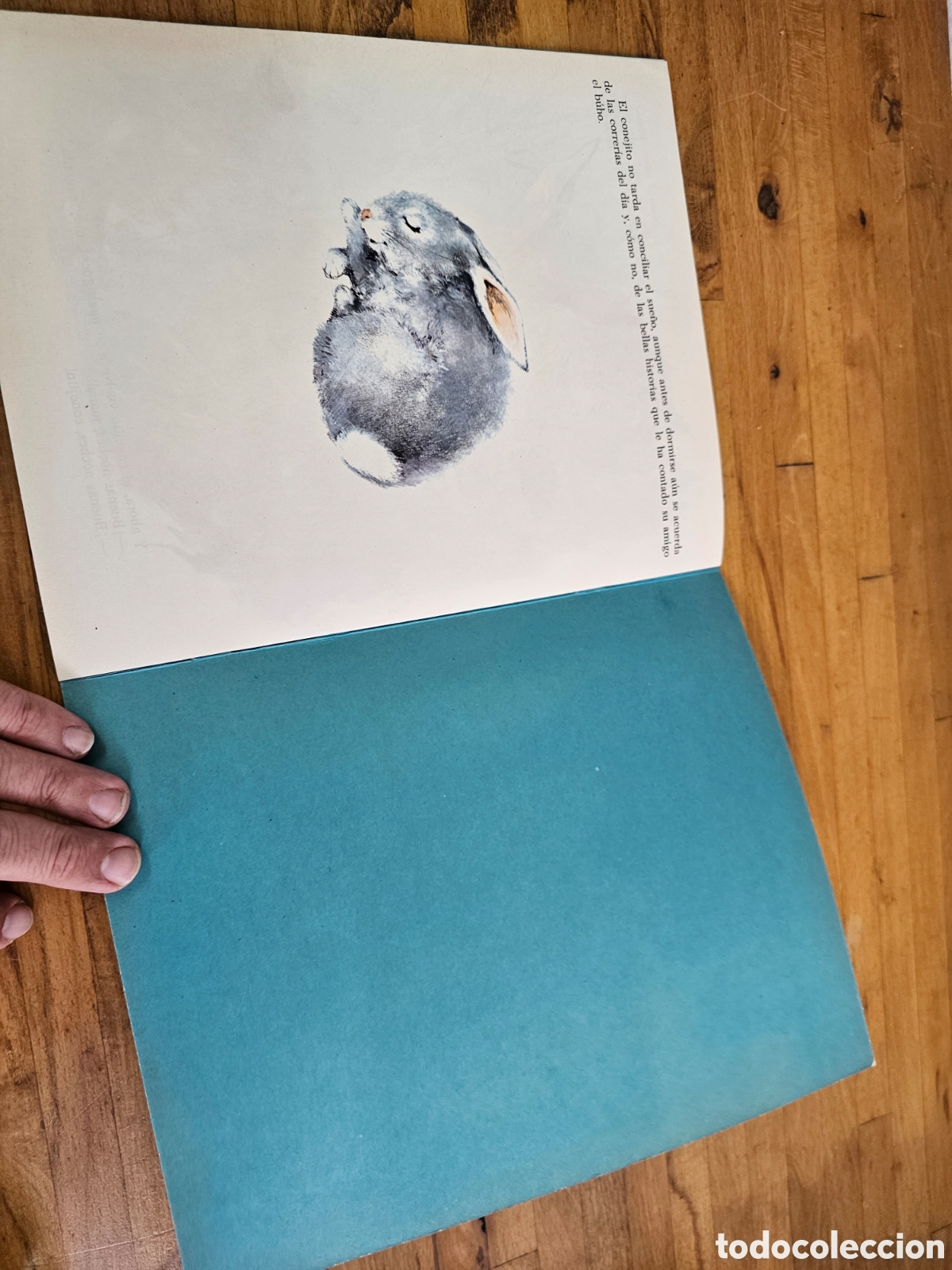 Libros de segunda mano: Libro El Conejito aventurero de 1973 Susaeta - Foto 4