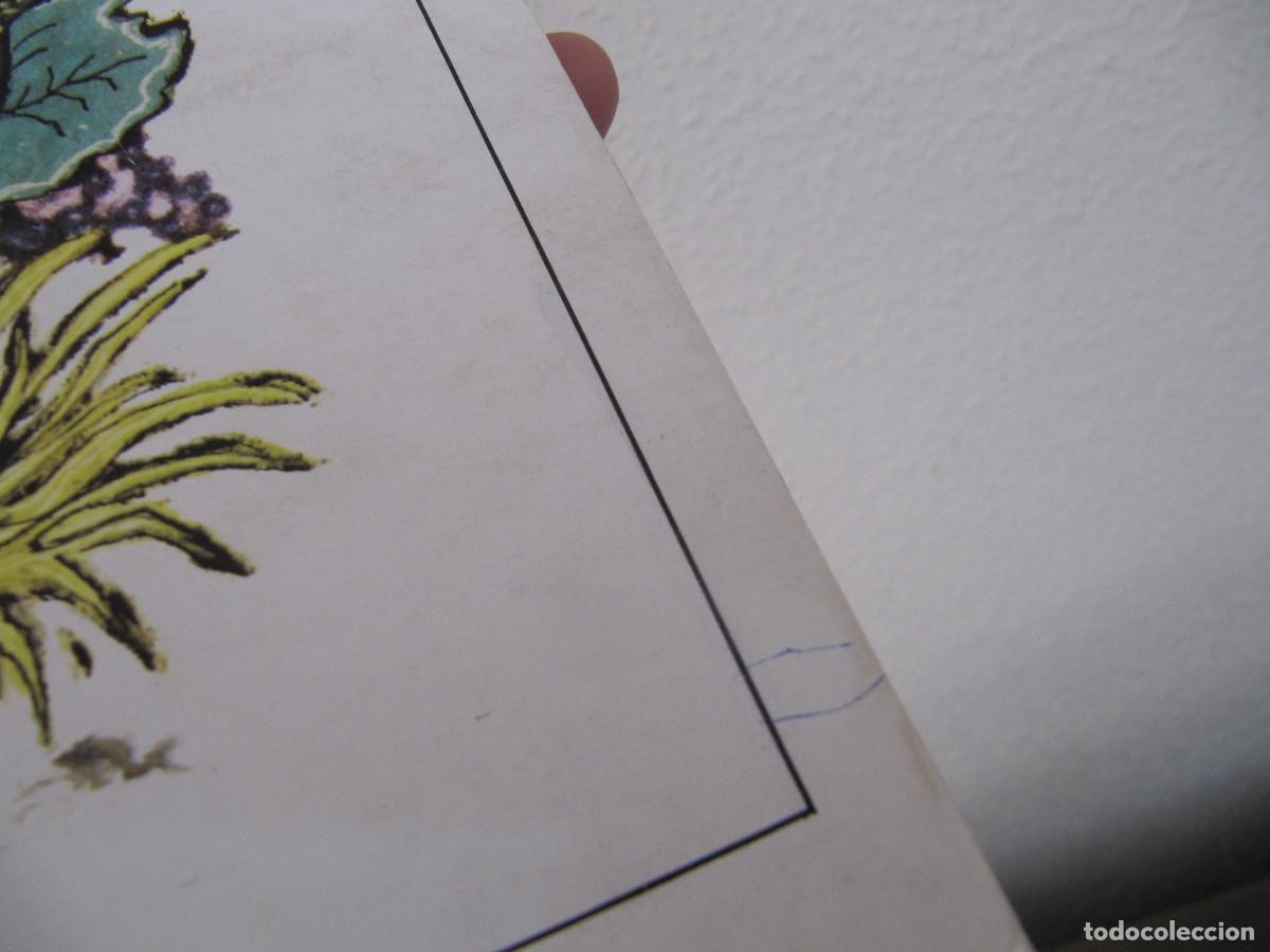 Libros de segunda mano: HISTORIETAS MAGICAS 1981 - Foto 13