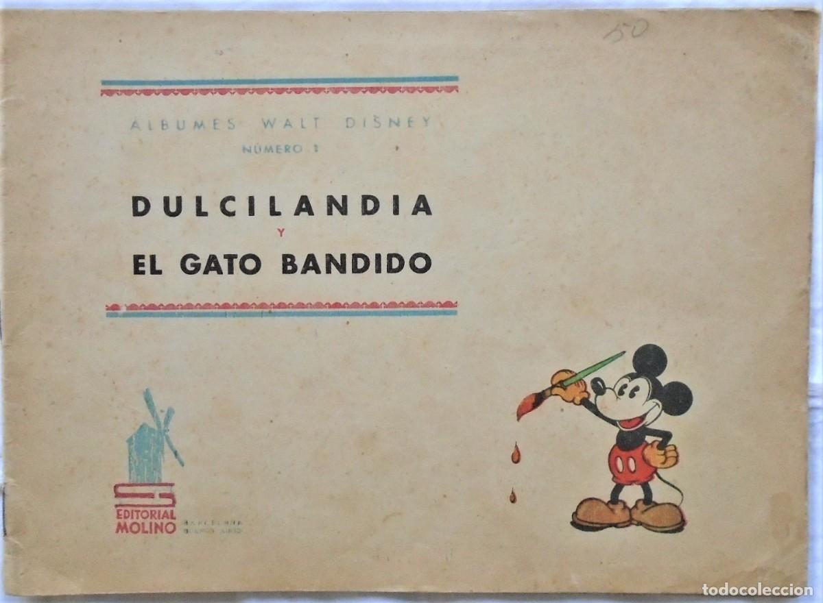 DULCILANDIA Y EL GATO BANDIDO.