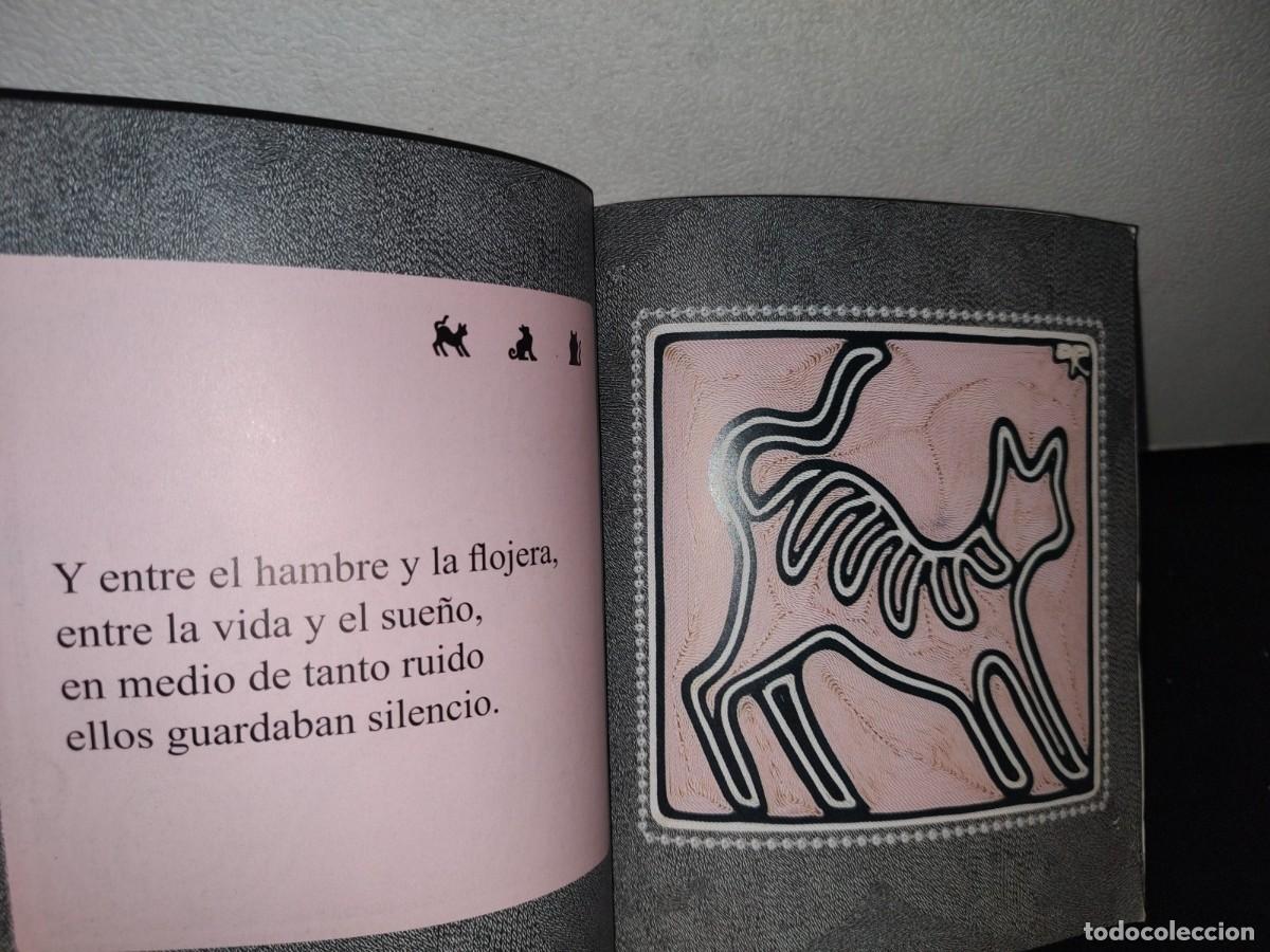 Libros de segunda mano: 13- EL BLUES DE LOS GATOS - ALBERTO BLANCO - Foto 5