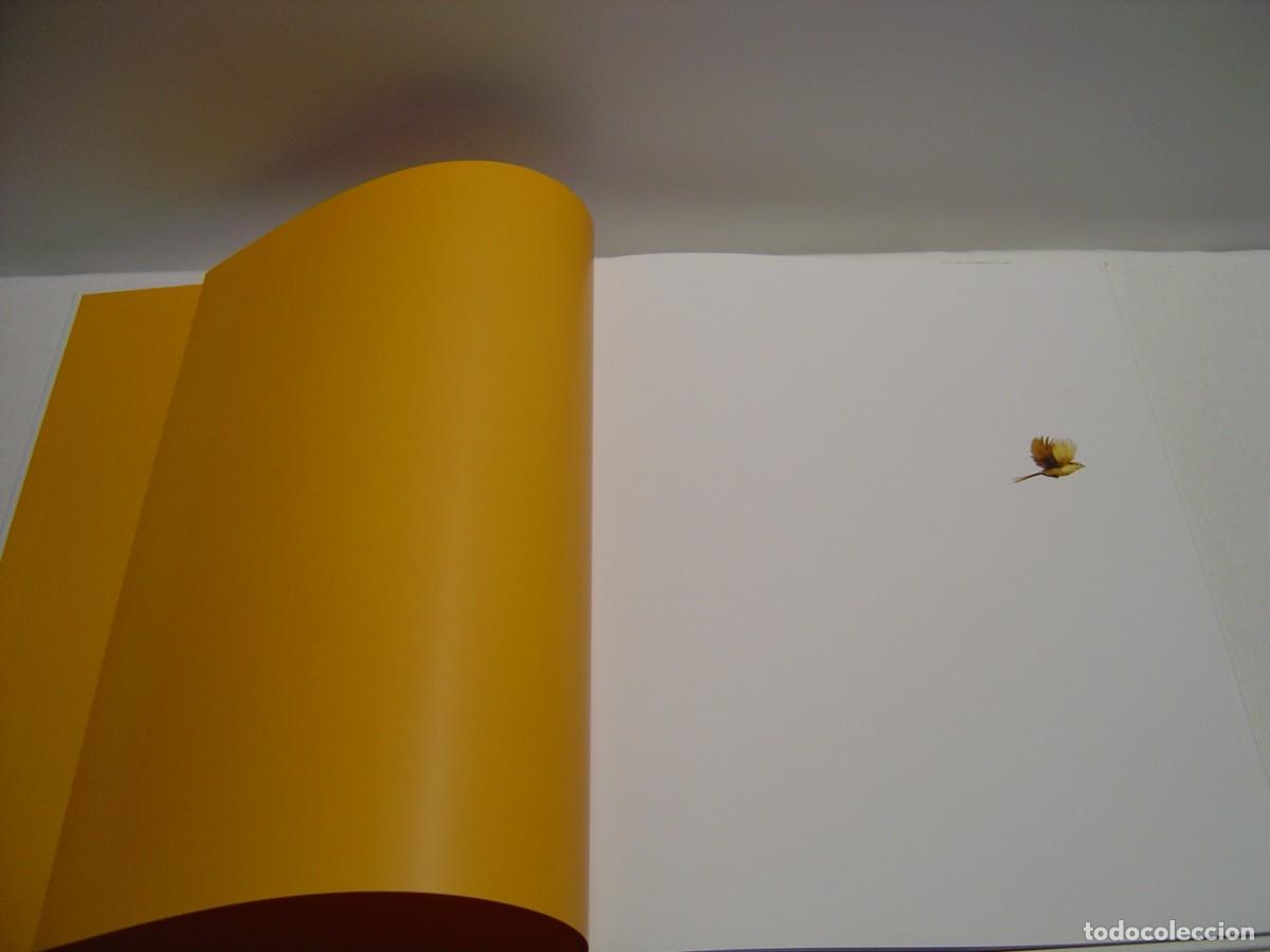 Libros de segunda mano: P&Aacute;JARO - BEATRIZ MART&Iacute;N VIDAL- THULE 2017 1&ordf; EDICI&Oacute;N - Foto 4