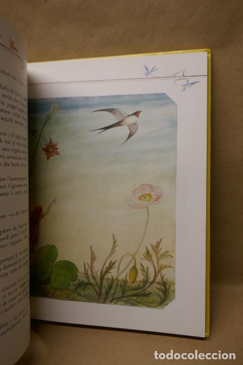 Libros de segunda mano: ANDERSEN: Els contes mes bonics (EN CATALAN) - Foto 9