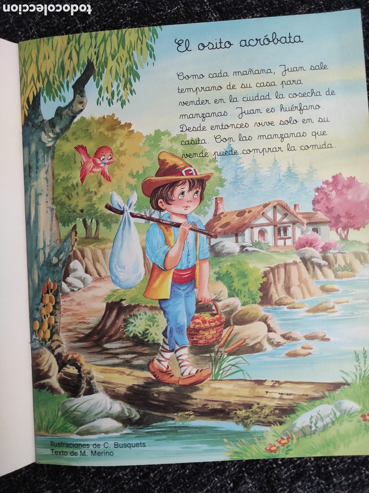Libros de segunda mano: MIS AVENTURAS, EL OSITO ACROBATA - CUENTO - Foto 3