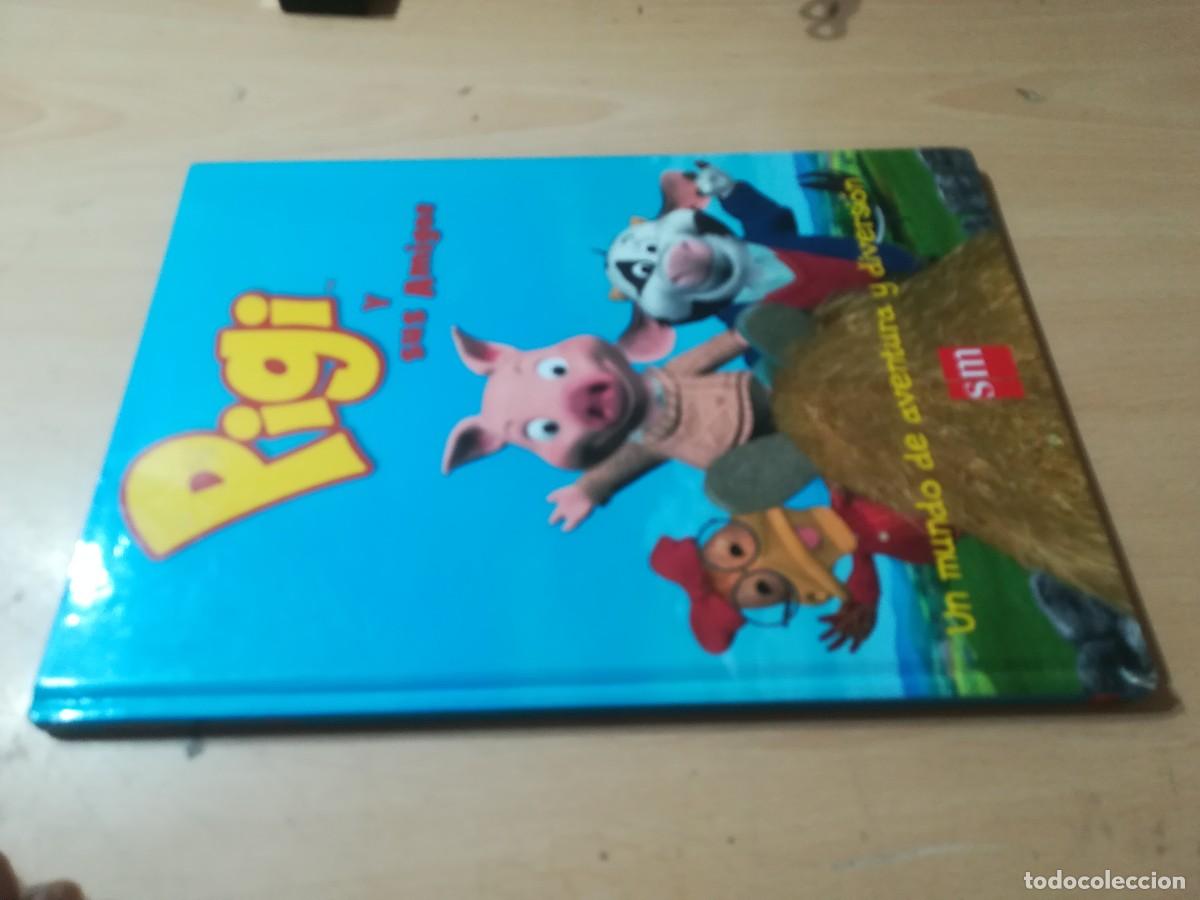 Libros de segunda mano: PIGI Y SUS AMIGAS / / AK86 / SM - Foto 1