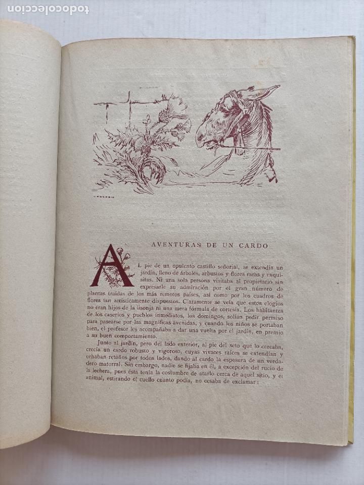 Libros de segunda mano: CUENTOS DE ANDERSEN EDITORIAL MAUCCI - Foto 10