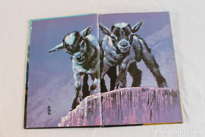 Libros de segunda mano: GONZALILLO Y BERNARDO 1968 EVEREST LEON - Foto 2