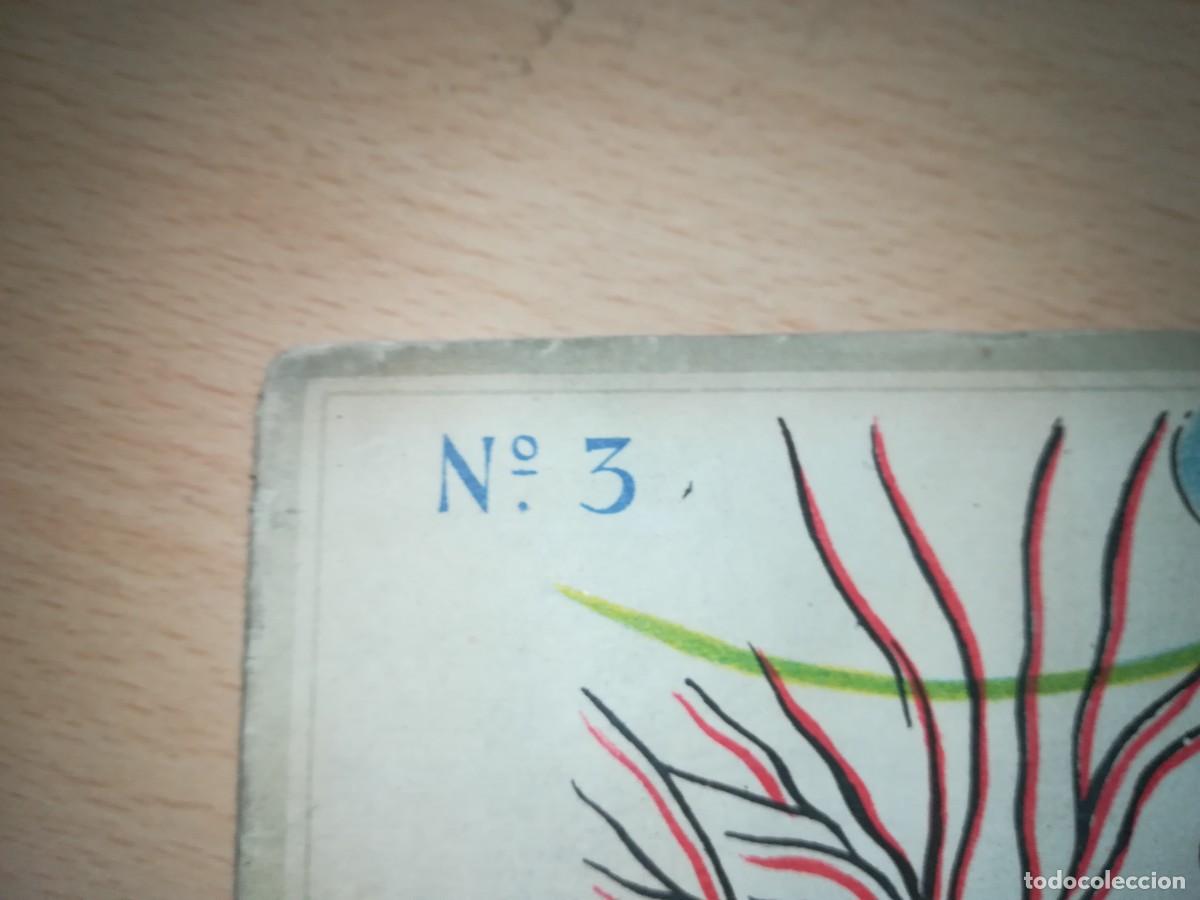 Libros de segunda mano: ANIMALES COMICOS / / ESQ 403 - Foto 2