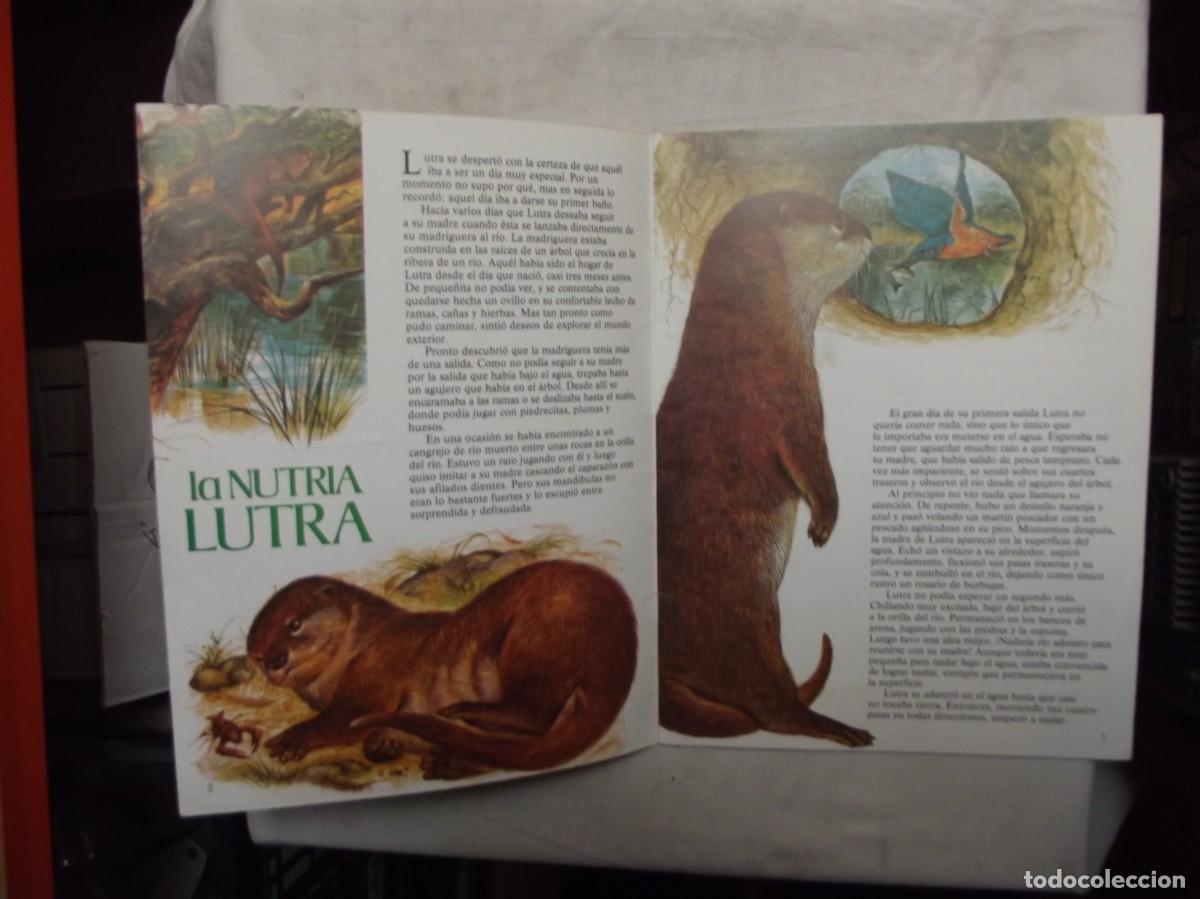 Libros de segunda mano: CUENTA CUENTOS N&ordm; 33 ( SOLO EL LBRO ) - Foto 2
