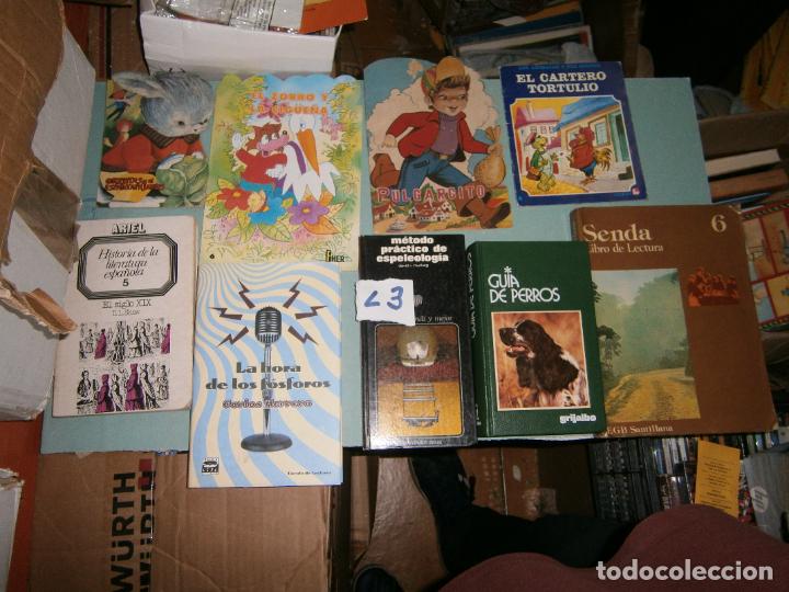 Libros de segunda mano: ANTIGUO CUENTO - PULGARCITO - Foto 1