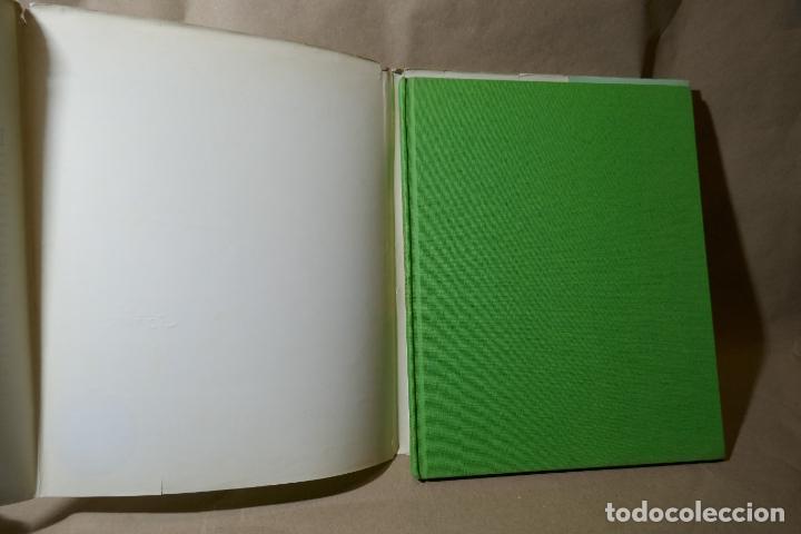 Libros de segunda mano: The Amazing Bone por William Steig (EN INGL&Eacute;S) - Foto 6