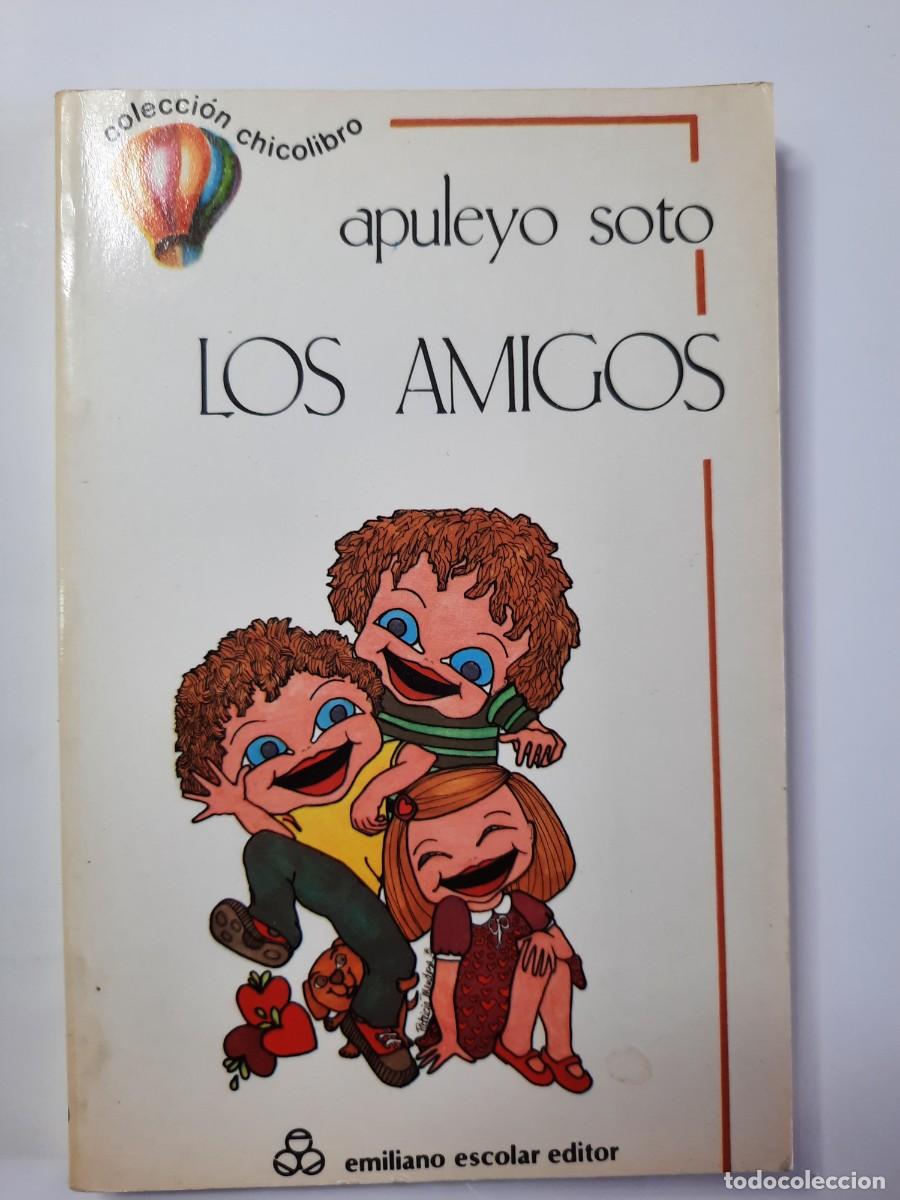 Libros de segunda mano: LOS AMIGOS - COLECCI&Oacute;N CHICOLIBRO - Foto 1