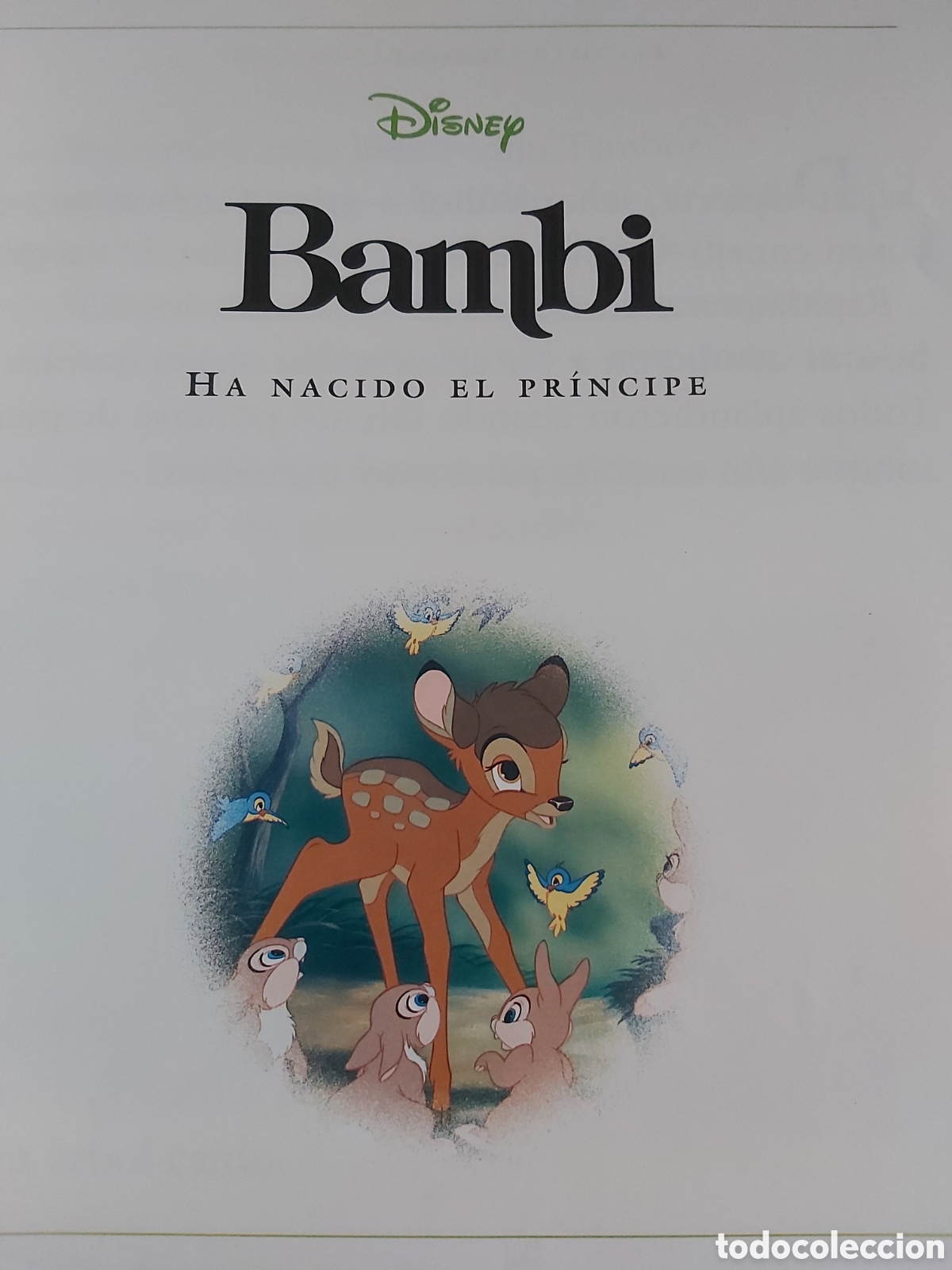 Libros de segunda mano: CUENTOS DE ANIMALES $ DISNEY $ EVEREST $ 1999 - Foto 7