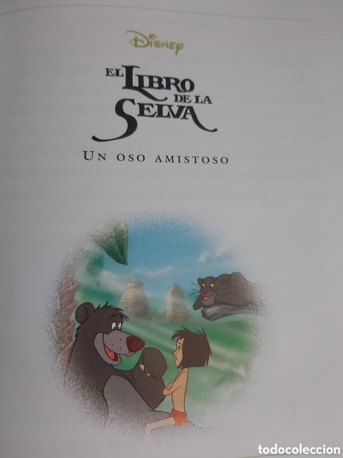 Libros de segunda mano: CUENTOS DE ANIMALES $ DISNEY $ EVEREST $ 1999 - Foto 10