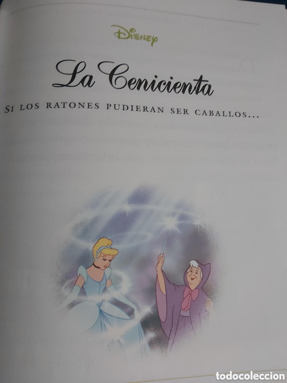 Libros de segunda mano: CUENTOS DE ANIMALES $ DISNEY $ EVEREST $ 1999 - Foto 11