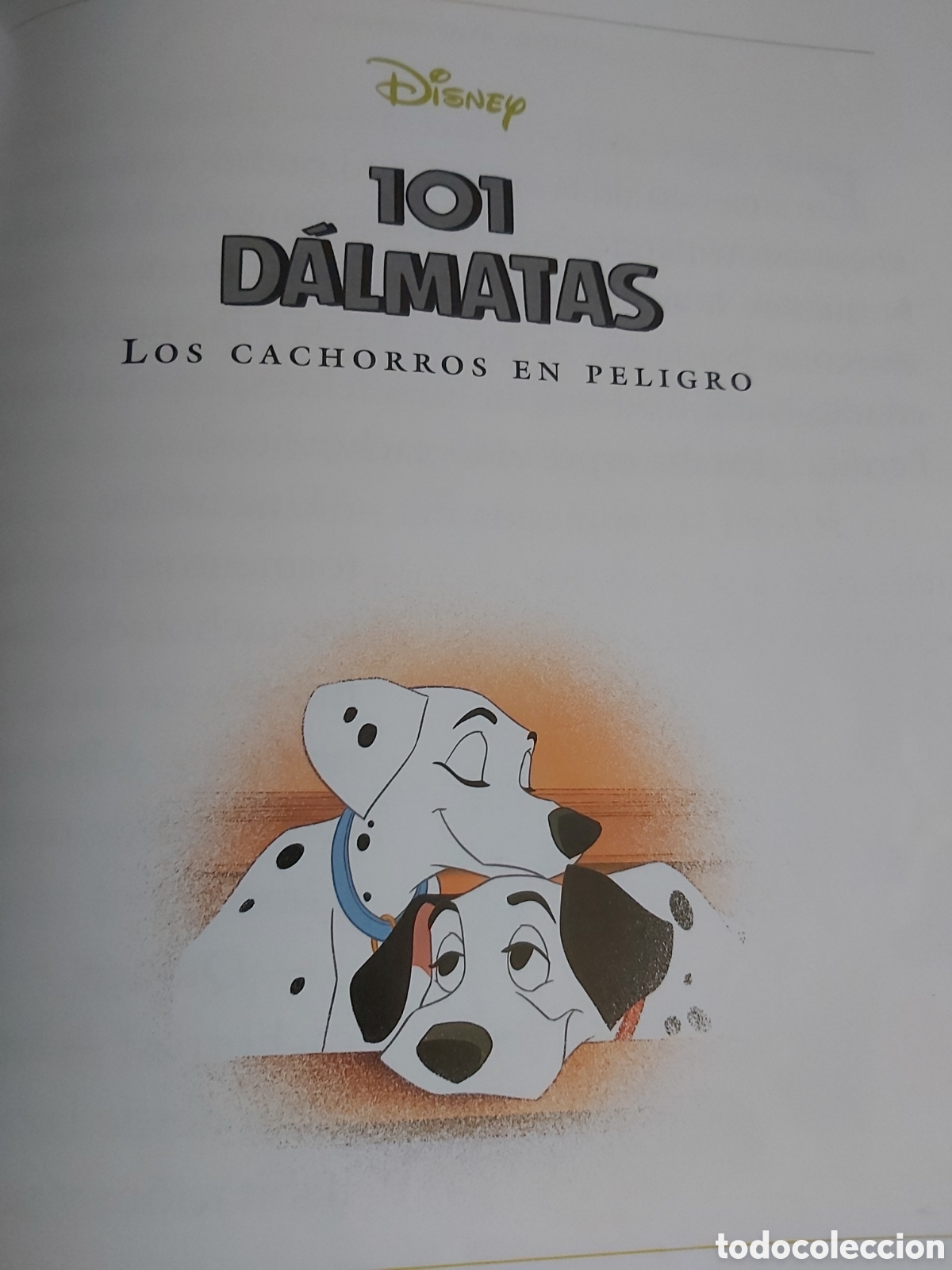 Libros de segunda mano: CUENTOS DE ANIMALES $ DISNEY $ EVEREST $ 1999 - Foto 12