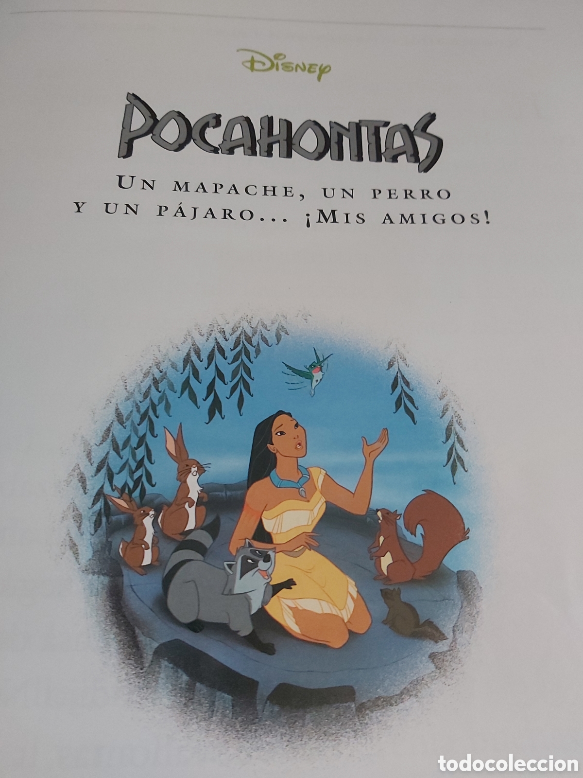 Libros de segunda mano: CUENTOS DE ANIMALES $ DISNEY $ EVEREST $ 1999 - Foto 15
