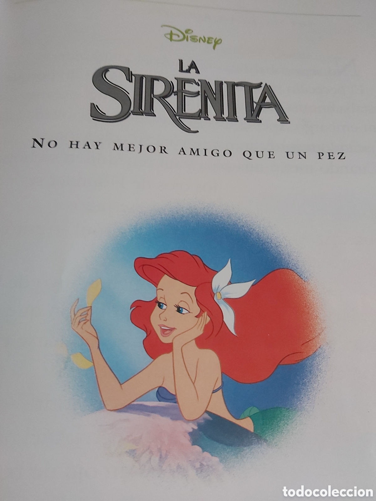 Libros de segunda mano: CUENTOS DE ANIMALES $ DISNEY $ EVEREST $ 1999 - Foto 16