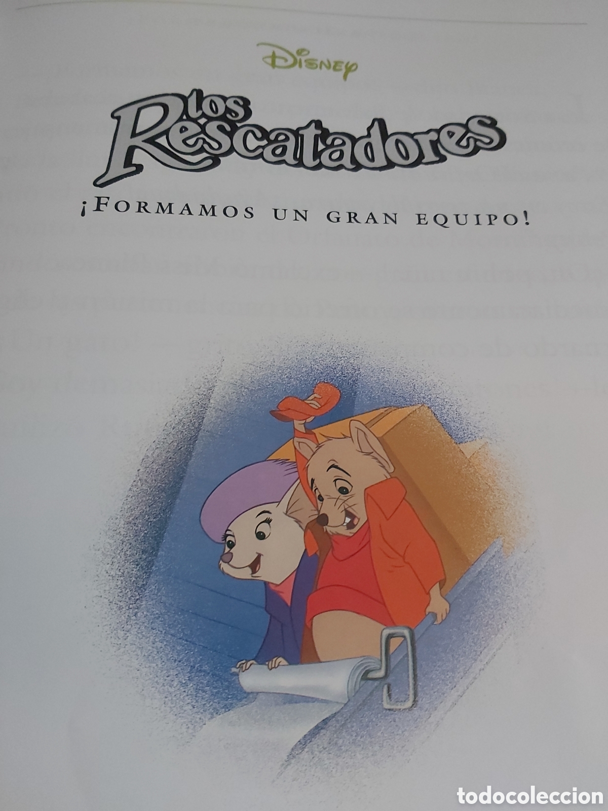 Libros de segunda mano: CUENTOS DE ANIMALES $ DISNEY $ EVEREST $ 1999 - Foto 17