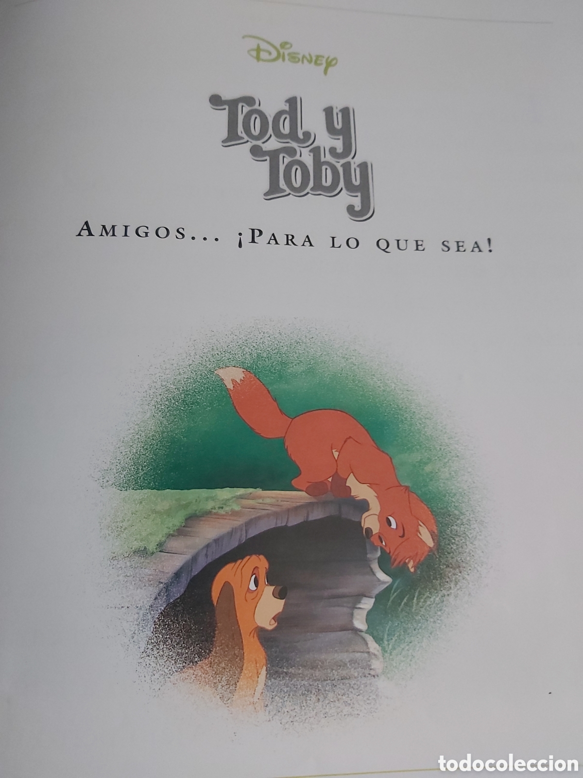 Libros de segunda mano: CUENTOS DE ANIMALES $ DISNEY $ EVEREST $ 1999 - Foto 18
