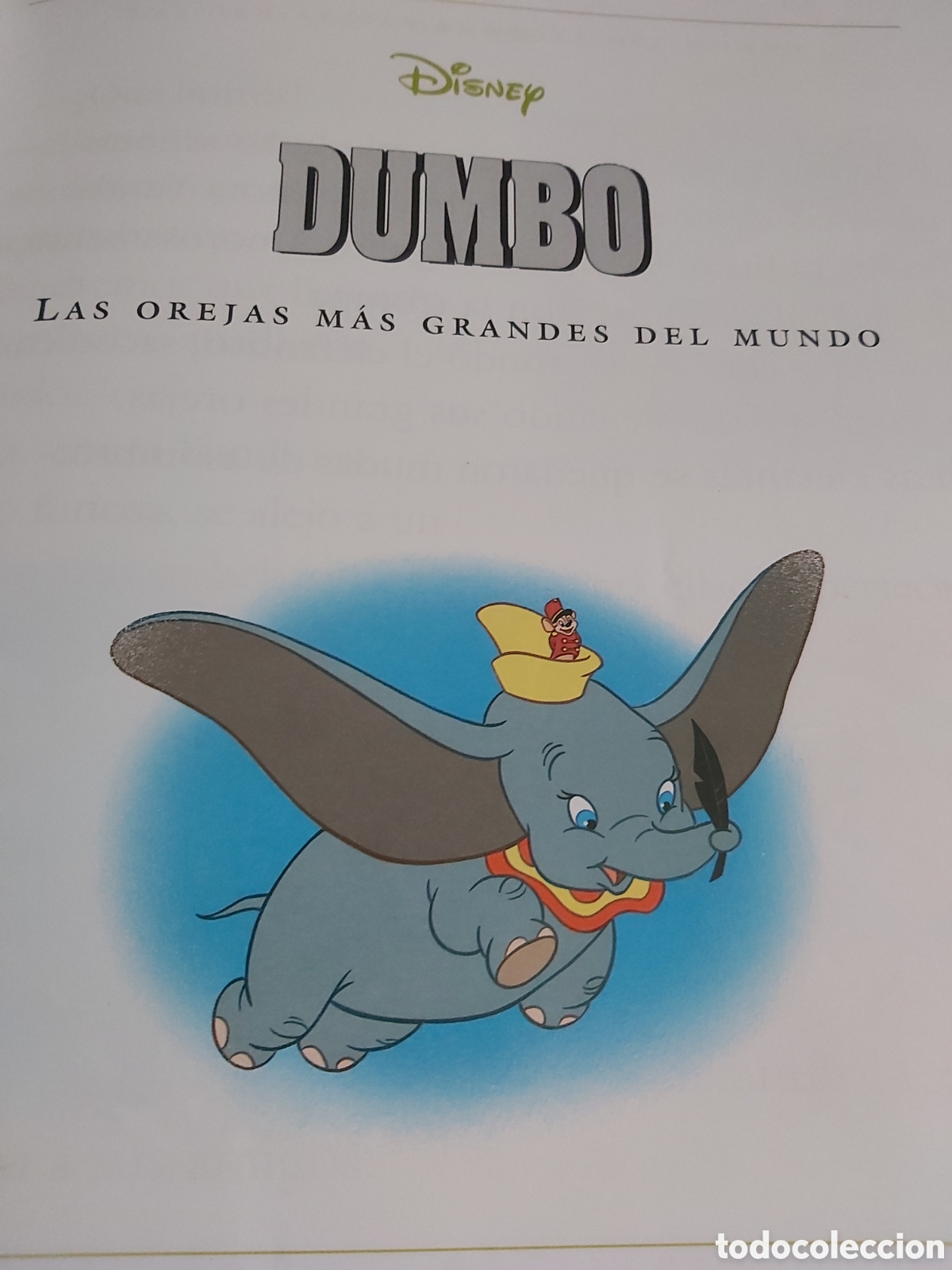 Libros de segunda mano: CUENTOS DE ANIMALES $ DISNEY $ EVEREST $ 1999 - Foto 19