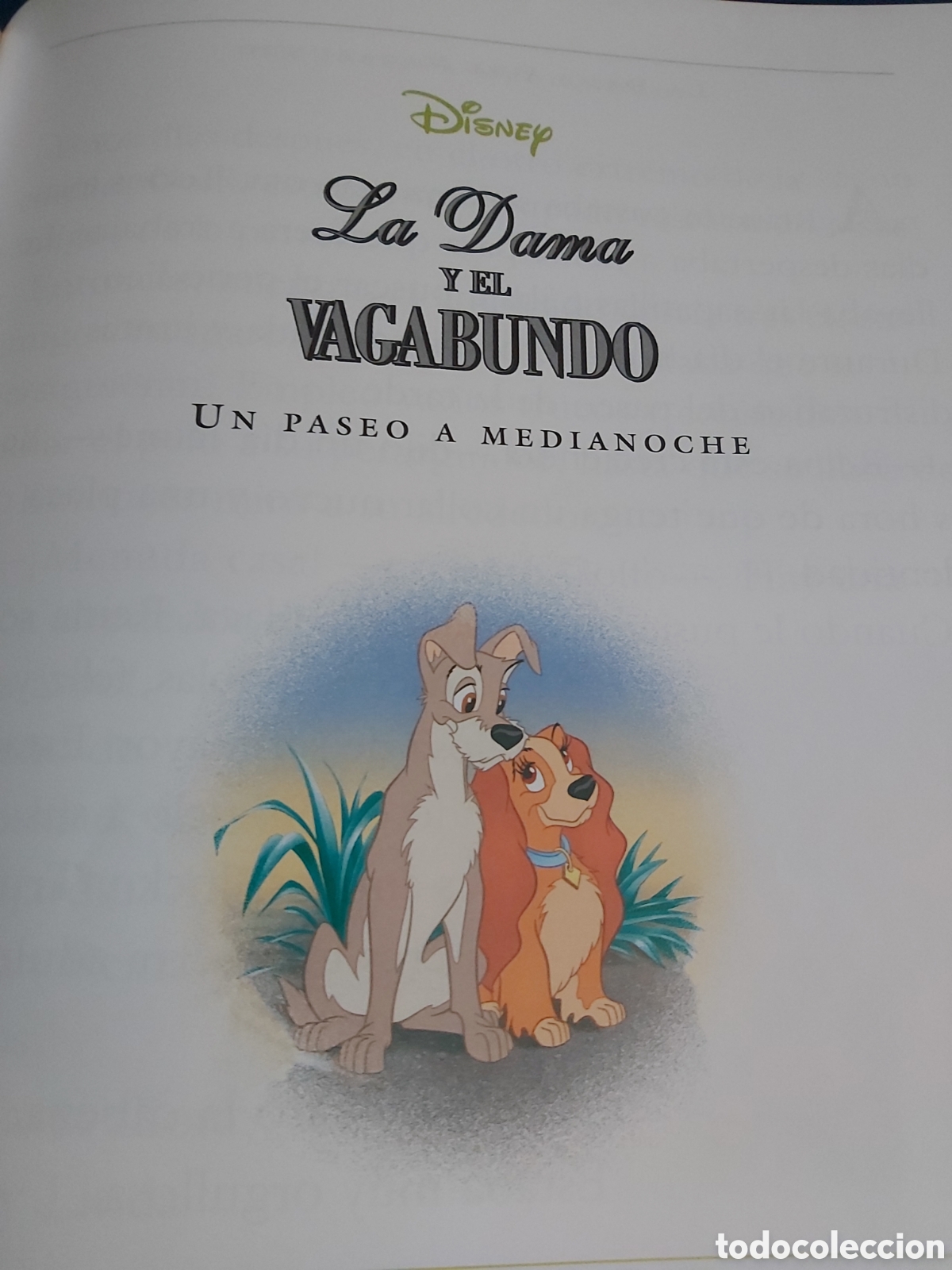Libros de segunda mano: CUENTOS DE ANIMALES $ DISNEY $ EVEREST $ 1999 - Foto 20
