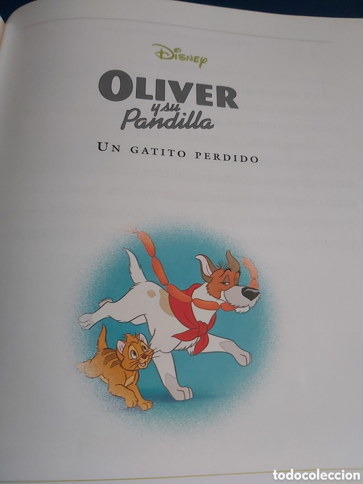 Libros de segunda mano: CUENTOS DE ANIMALES $ DISNEY $ EVEREST $ 1999 - Foto 21