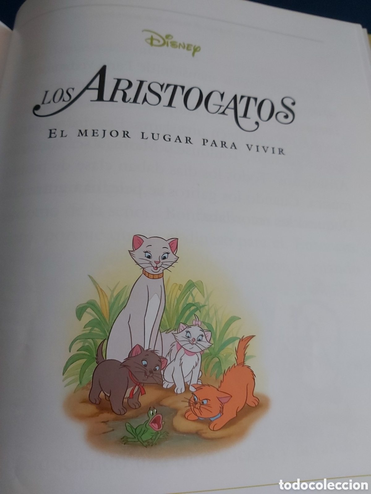 Libros de segunda mano: CUENTOS DE ANIMALES $ DISNEY $ EVEREST $ 1999 - Foto 22