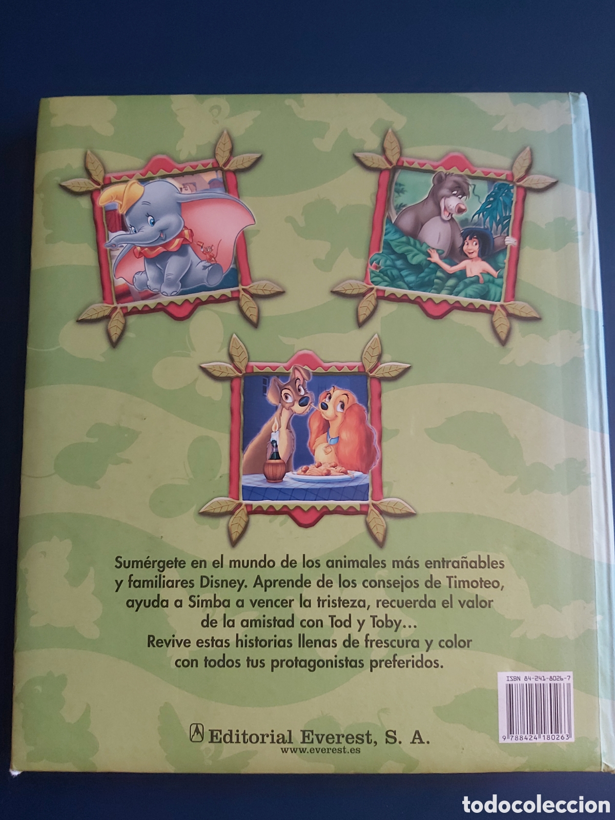 Libros de segunda mano: CUENTOS DE ANIMALES $ DISNEY $ EVEREST $ 1999 - Foto 24