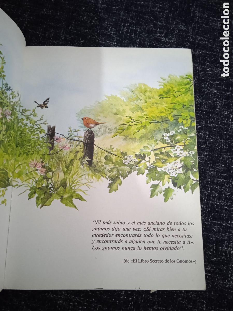 Libros de segunda mano: CUENTO DAVID EL GNOMO. OBSEQUIO VERNEL. PLAZA JOVEN 1987. - Foto 3