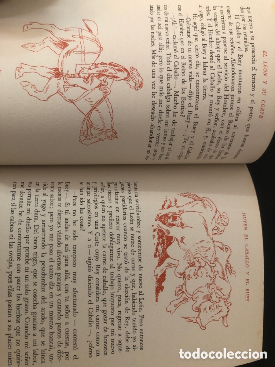 Libros de segunda mano: CUENTO EL LEON Y SU CORTE EDITORIAL JUVENTUD 1&ordf; EDICION ILUSTRACIONES DE JUNCEDA - Foto 2