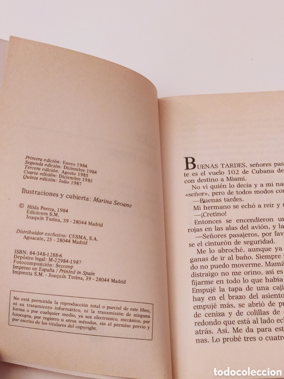 Libros de segunda mano: KIKE - HILDA PERERA - BARCO DE VAPOR 1987 - Foto 5