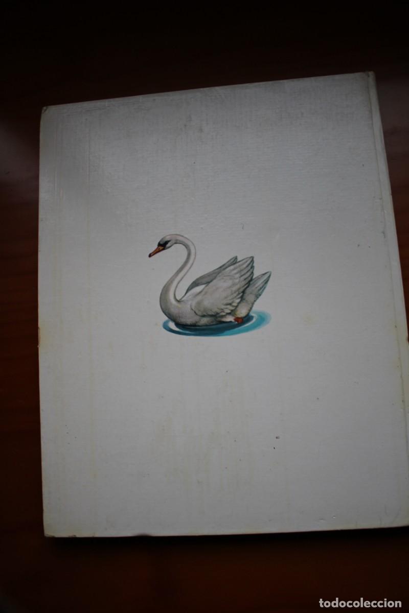 Libros de segunda mano: Cuatro cuentos de Andersen. Editorial Timun Mas. 1971 - Foto 4
