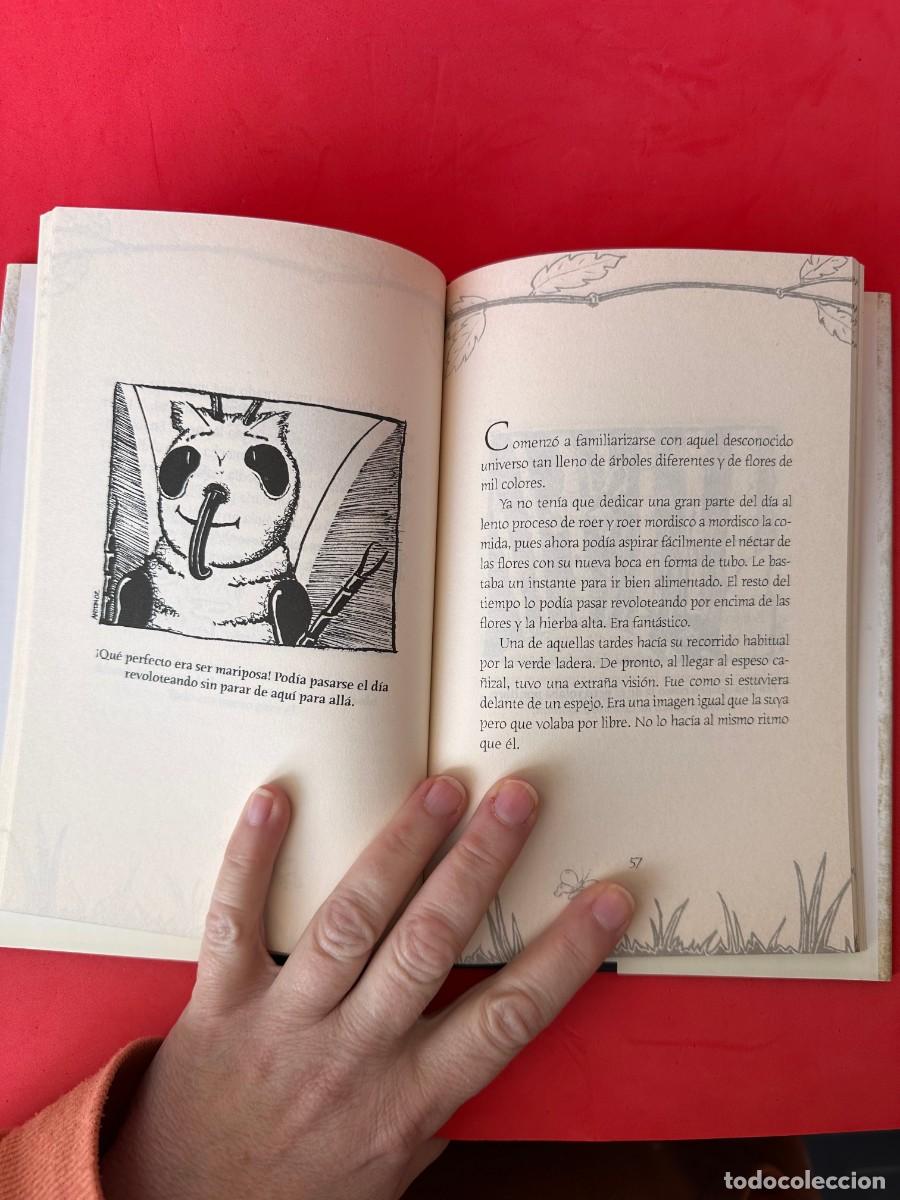 Libros de segunda mano: Ant&oacute;n Layunta - Pap&aacute;, expl&iacute;came el cuento de la vida - Foto 5