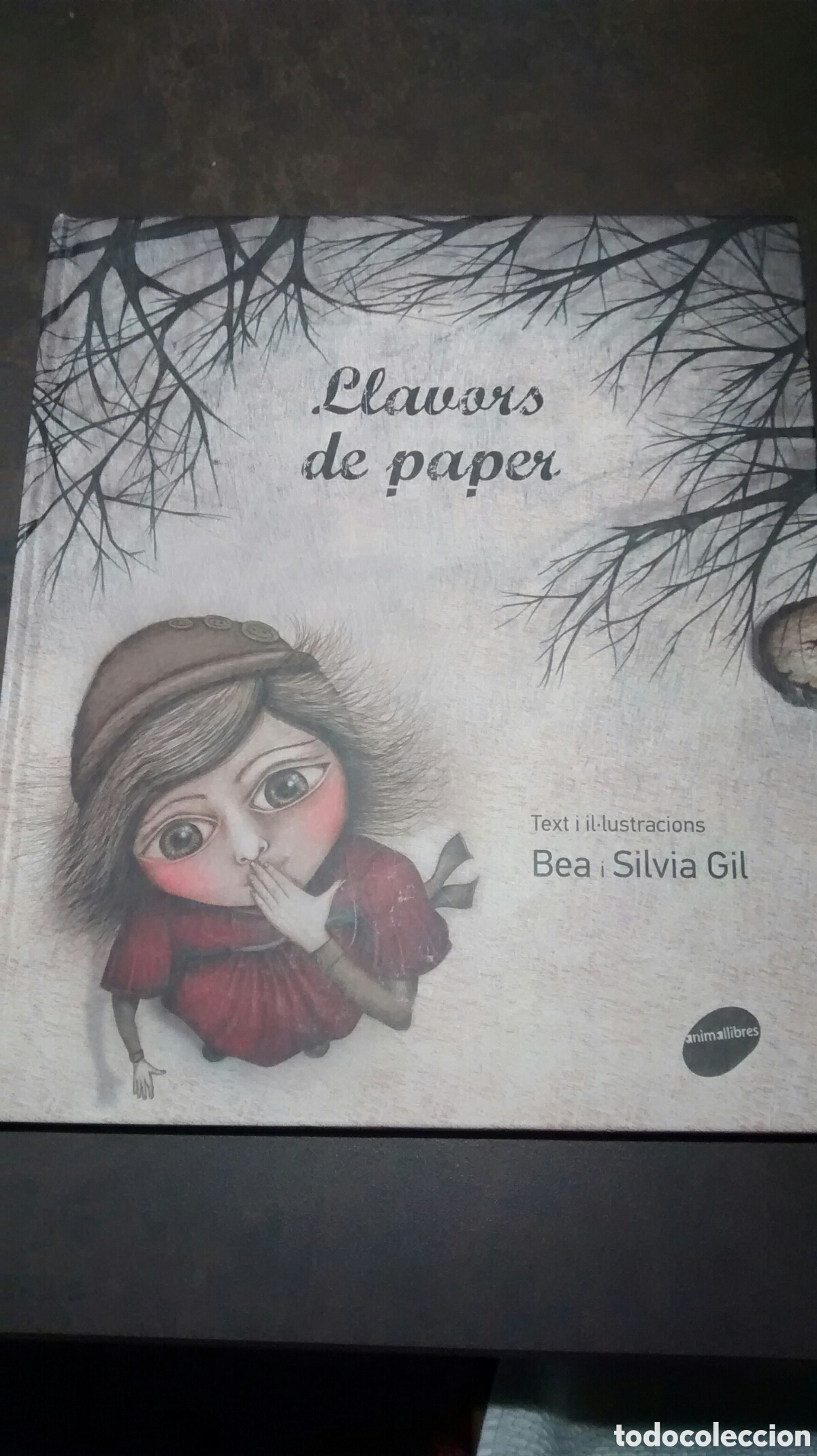 Libri di seconda mano: LLAVORS DE PAPER DE BEA I SILVIA GIL (ANIMA LLIBRES)