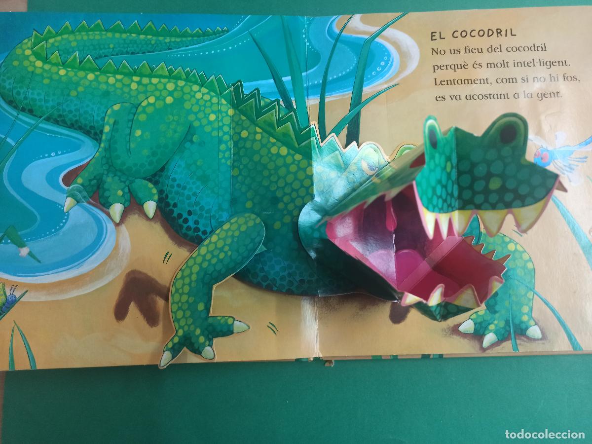 Libros de segunda mano: Antiguo libro infantil El Cocodril inteligent. 2007. Pop up. En catalan. - Foto 4