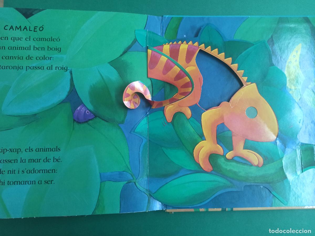 Libros de segunda mano: Antiguo libro infantil El Cocodril inteligent. 2007. Pop up. En catalan. - Foto 8