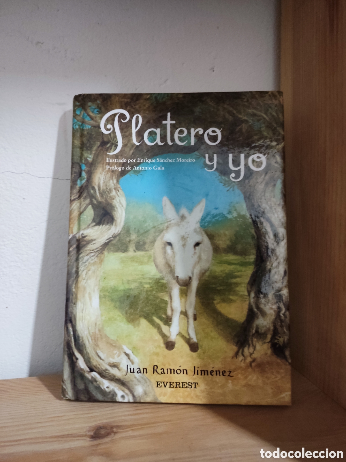 Libros de segunda mano: Platero y yo - Foto 1