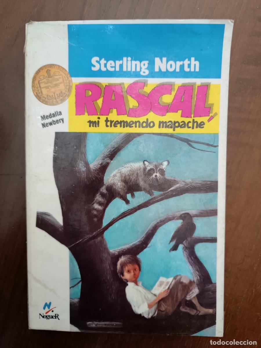 rascal mi pequeño mapache - Compra venta en todocoleccion