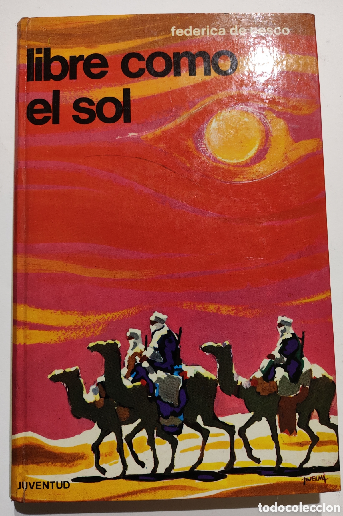 Libros de segunda mano: Libre como el sol - Federica de cesco - Foto 1