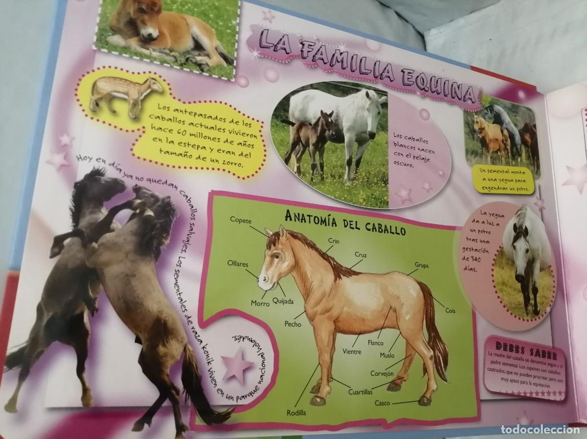 Libros de segunda mano: Mi libro-puzle: EL CABALLO (tapa dura) - Foto 3