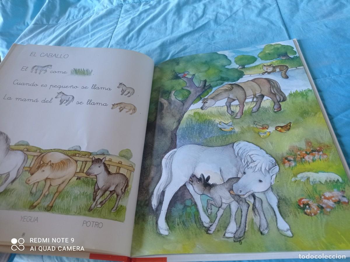 Libros de segunda mano: ANIMALES DE GRANJA / / GRAVOL 31 / SM - Foto 7