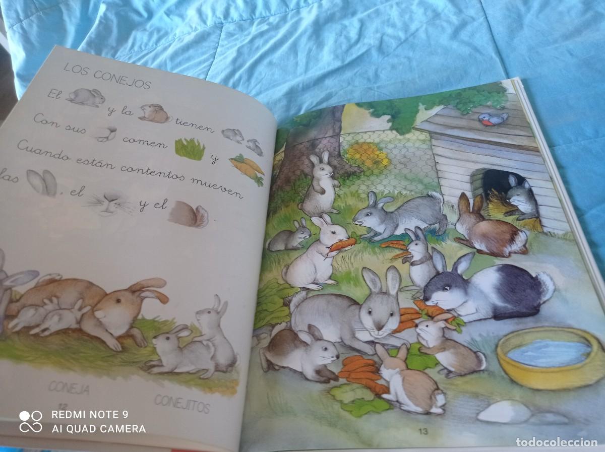 Libros de segunda mano: ANIMALES DE GRANJA / / GRAVOL 31 / SM - Foto 8