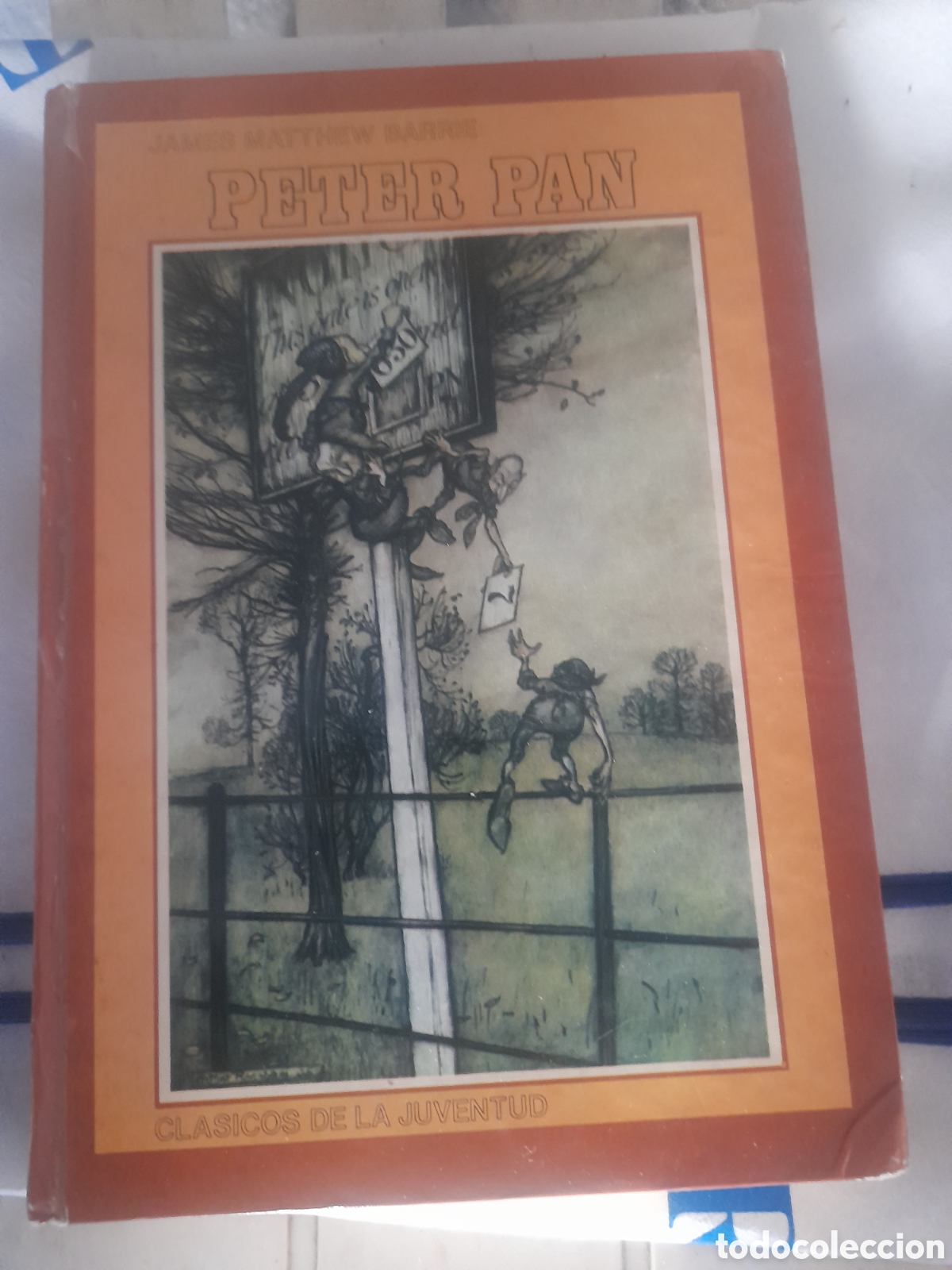 Libros de segunda mano: Libro, Peter Pan, Cl&aacute;sicos de la Juventud - Foto 1