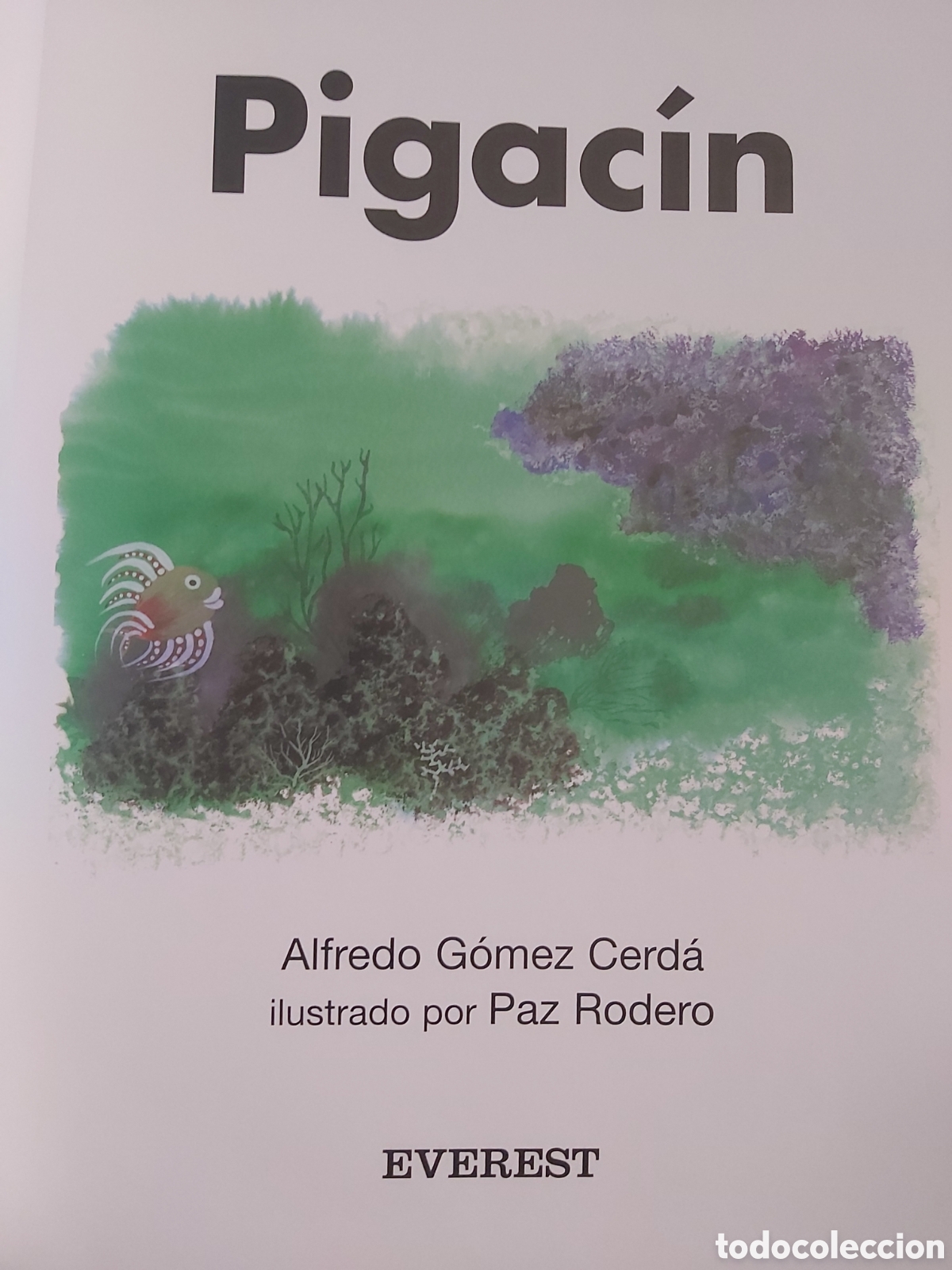 Libros de segunda mano: PIGAC&Iacute;N A. G&Oacute;MEZ EVEREST 2005 - Foto 4