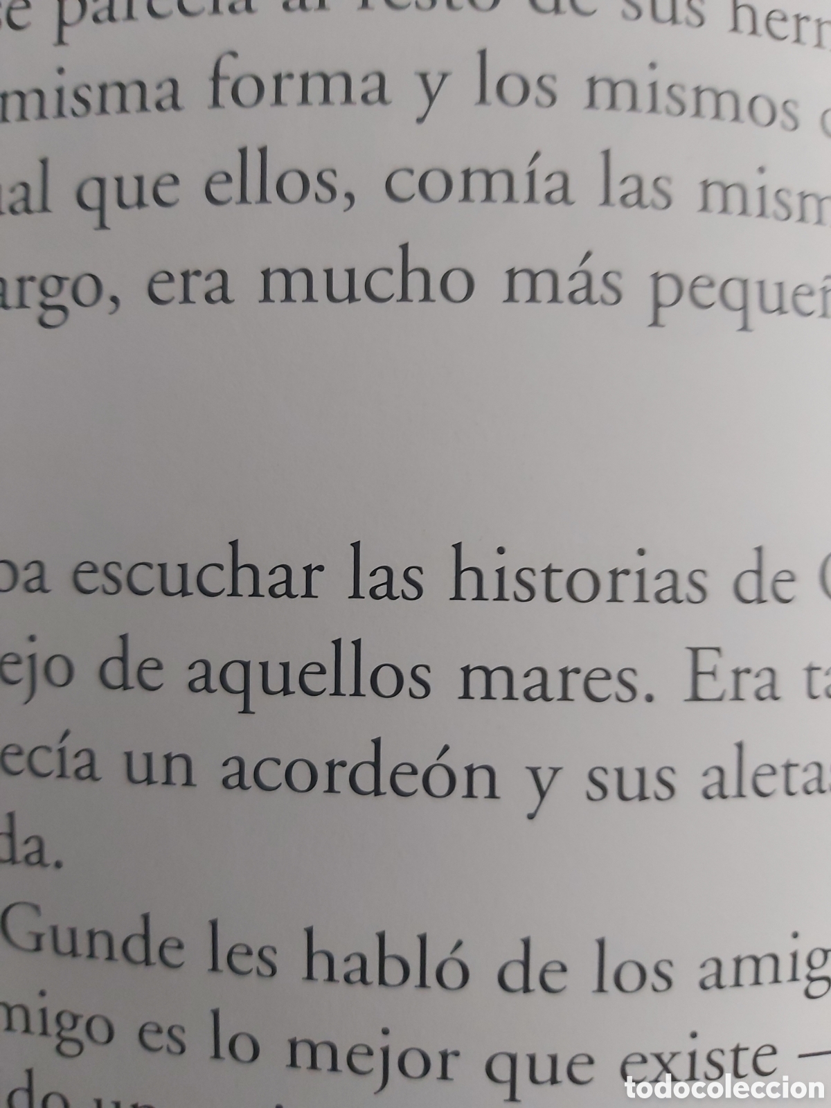 Libros de segunda mano: PIGAC&Iacute;N A. G&Oacute;MEZ EVEREST 2005 - Foto 5